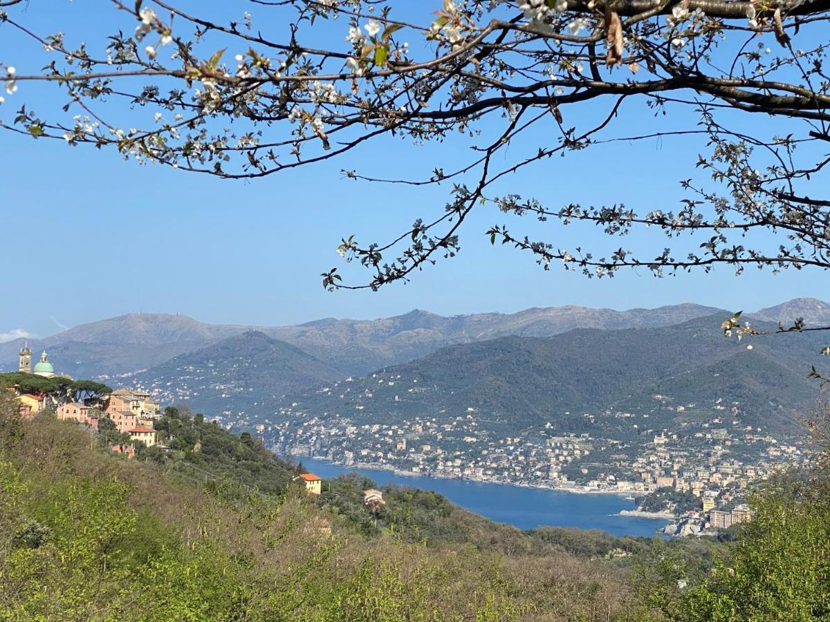 Liguria Home 4 - Recco Centro A 2 Minuti Dal Mare 外观 照片